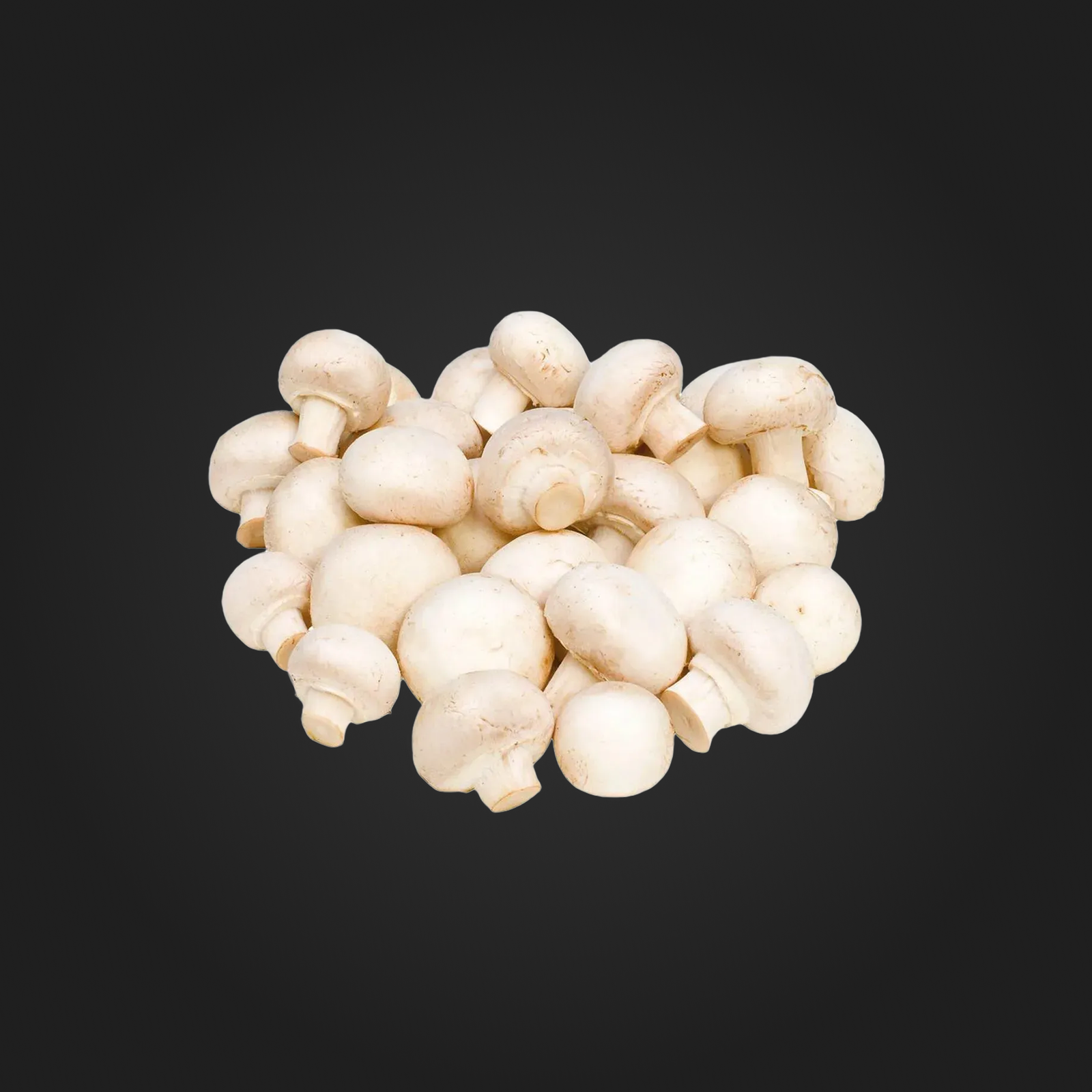 Ciuperci champignon Albe